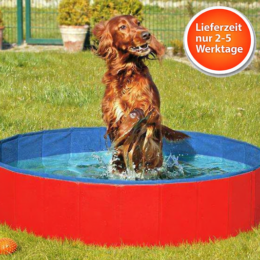 Klappbarer Hundepool rot-blau – mit Anti-Rutsch-Boden
