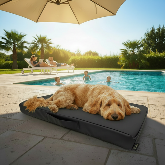 Orthomatte Tama – orthopädische Hundematte aus Kunstleder mit Memory Foam