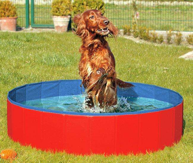 Klappbarer Hundepool in Rot und Blau – Produktansicht